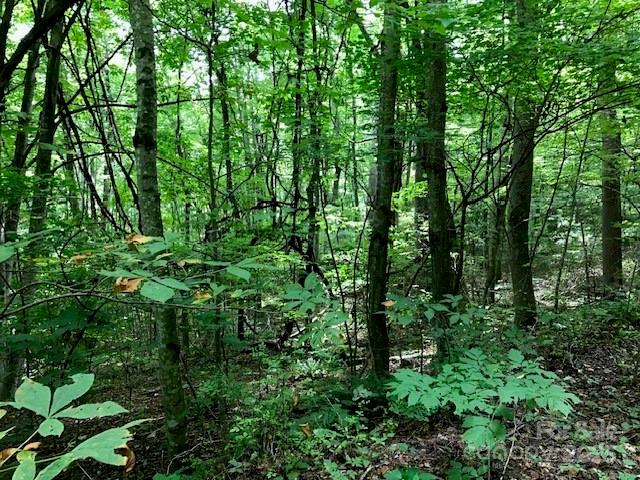 00 Red Oak Lane N Lot #24