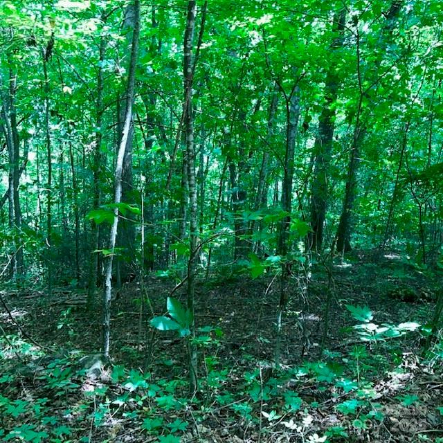 Wildwood Acres - Land