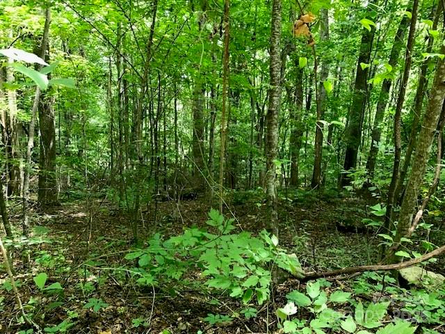 00 Red Oak Lane N Lot #24