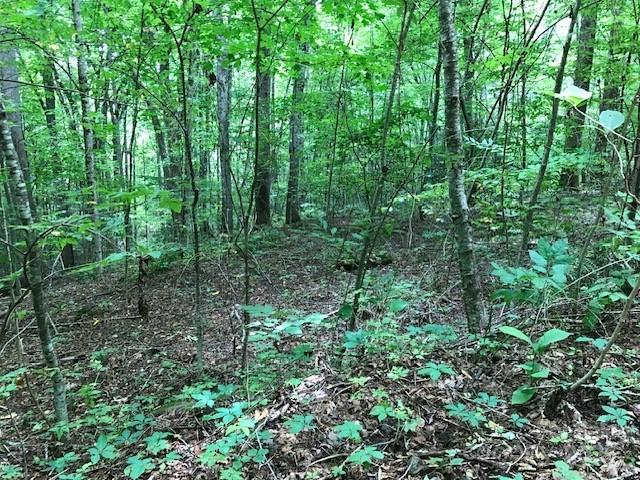 00 Red Oak Lane N Lot #24