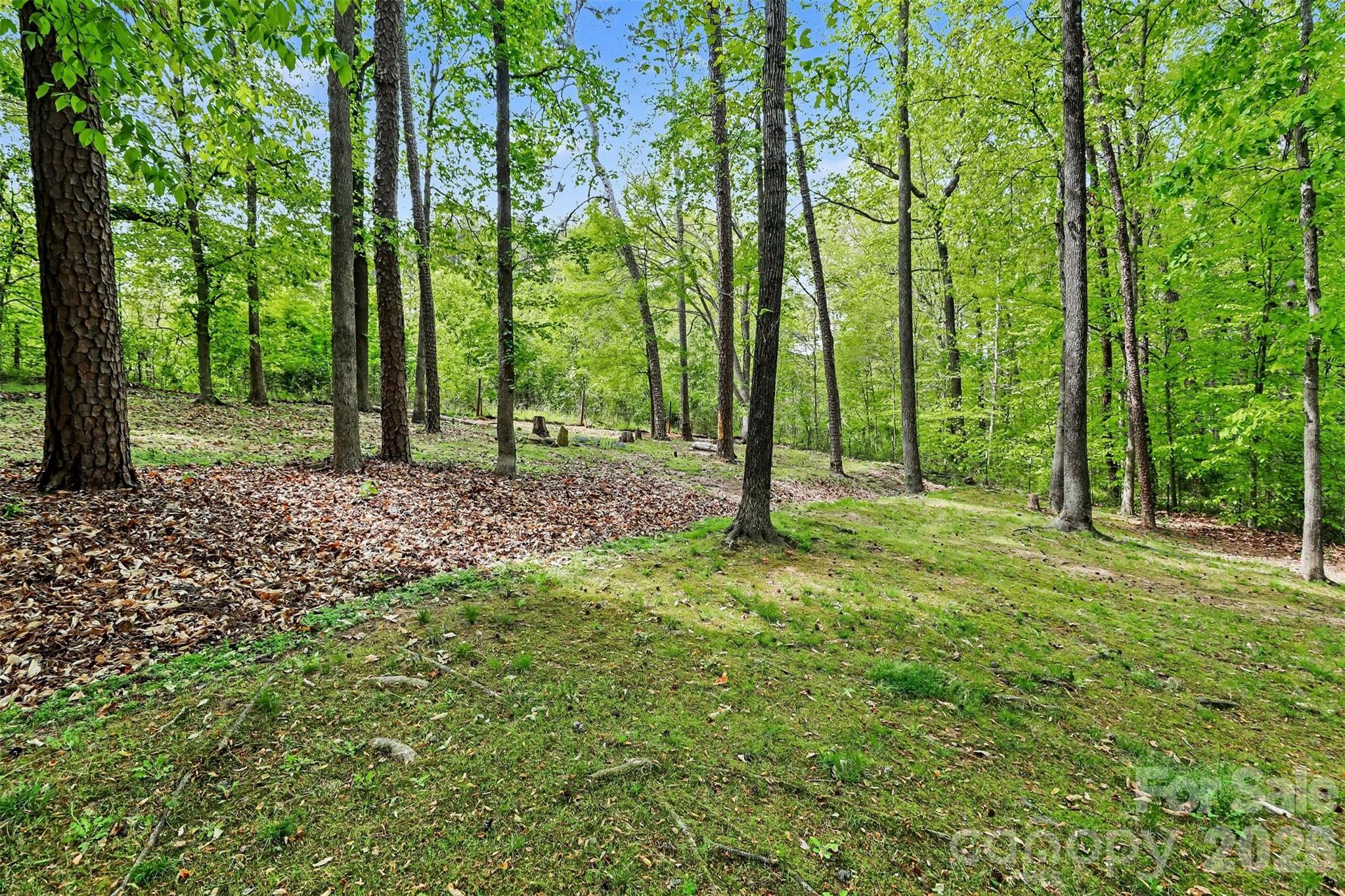 Mallard Creek Estates - Residential