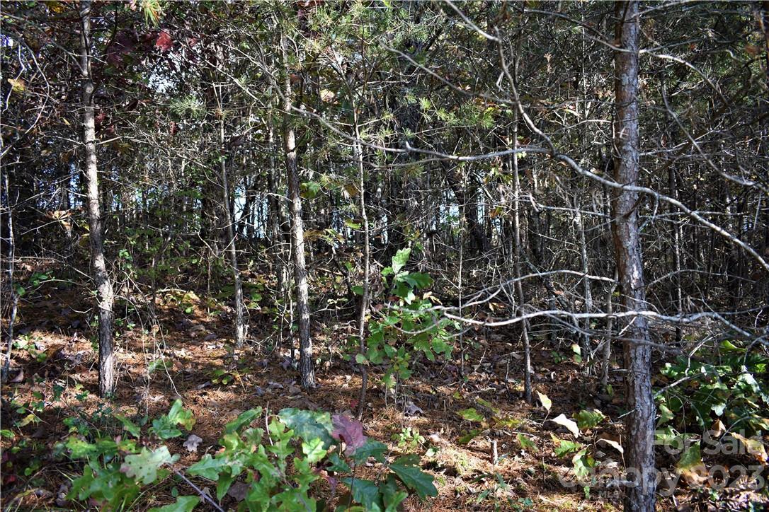 Southern View Acres - Land