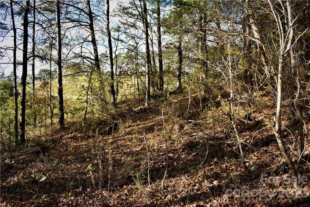 Southern View Acres - Land