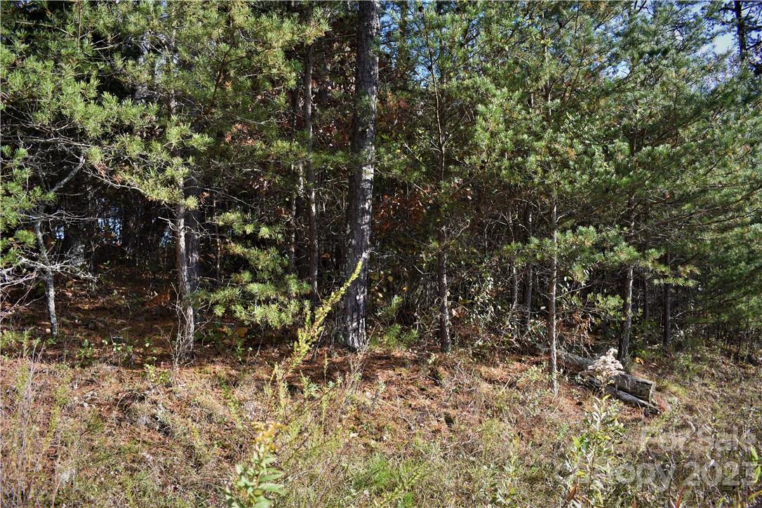 Southern View Acres - Land