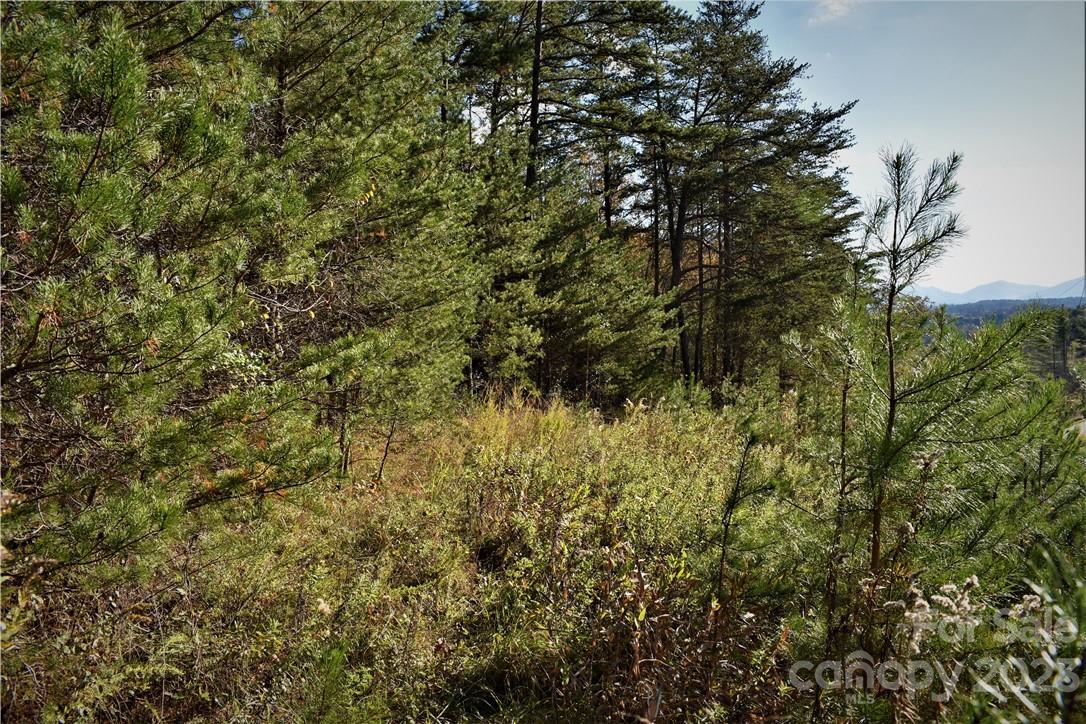 Southern View Acres - Land