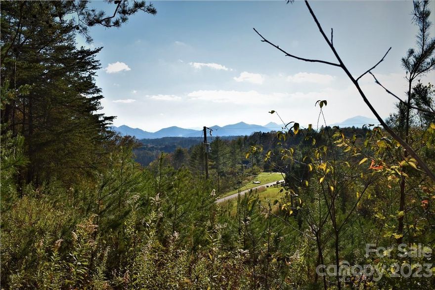 Have you checked out Southern View Acres lately? This is a lovely, small subdivision with mountain views and easy access from Monticello Road. 3/4 of a mile bike ride on paved roads to the river road, popular with bicycling enthusiasts. Just minutes to the French Broad River and downtown Weaverville; 15 minutes to Asheville. Paved subdivision roads offer a nice place to walk the dogs and take in the beautiful mountain views! With acceptable offer, seller to include up to a $25,000 contribution towards installation of SSDI septic system. Short-term rentals and off-frame modulars are allowed. There are 4 other lots available in SVA.