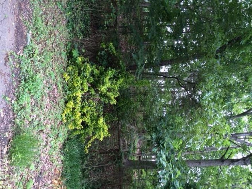 Located on the golf course in Tega Cay with slope from golf course to street. Lot is in a cul-de-sac and a garage under house would fit well. Pretty view! Only 1500 sqft. minimum to build. Bring your own builder. Great school district and not far from airport and downtown Charlotte.