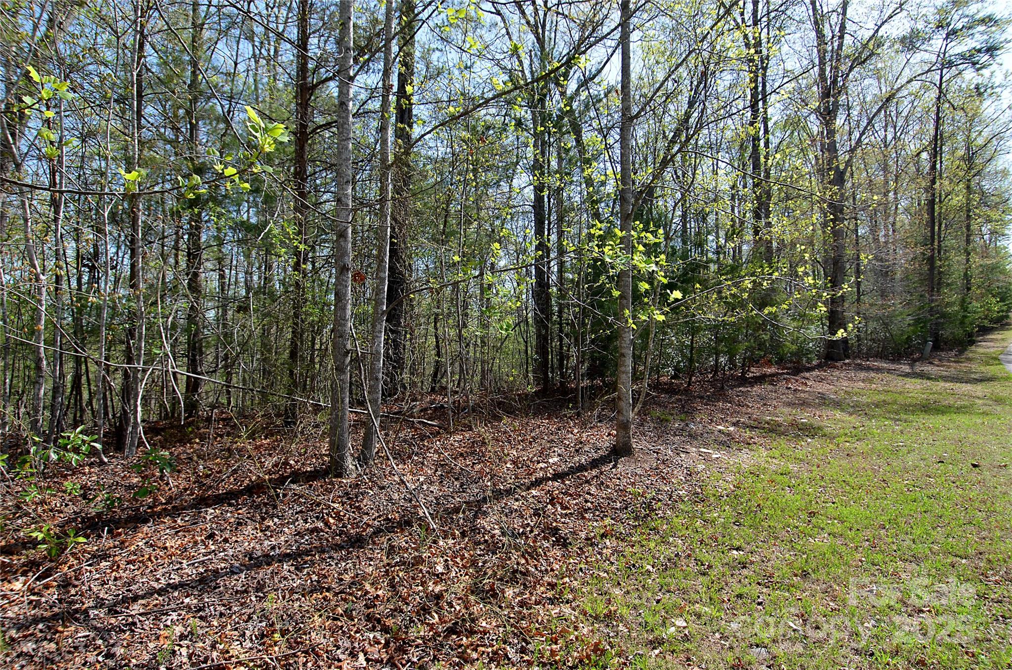 00 Forest Country Drive 48