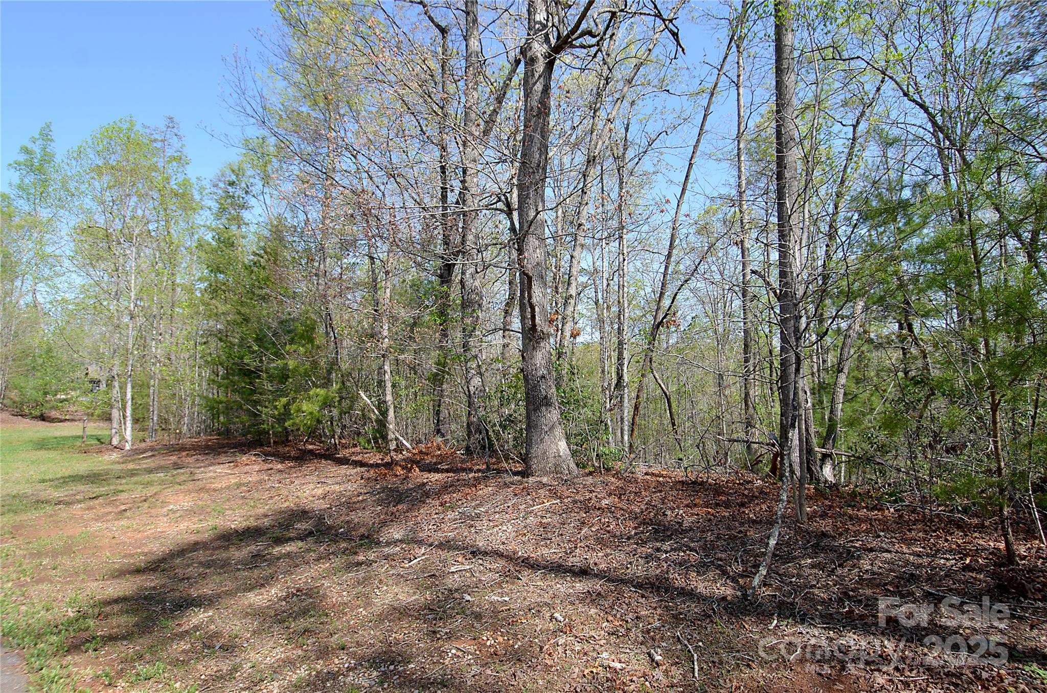 00 Forest Country Drive 48