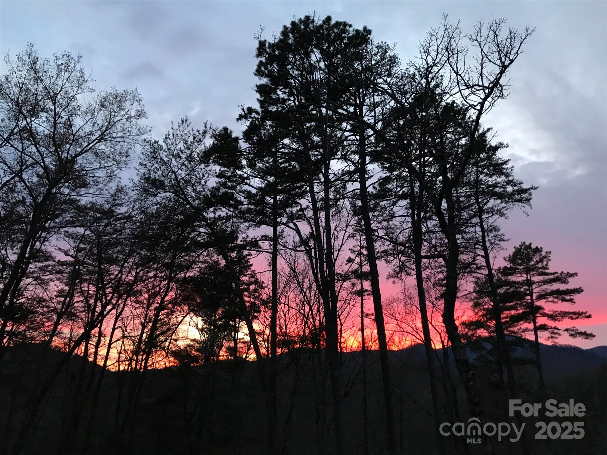 000 Raven Boulevard 65