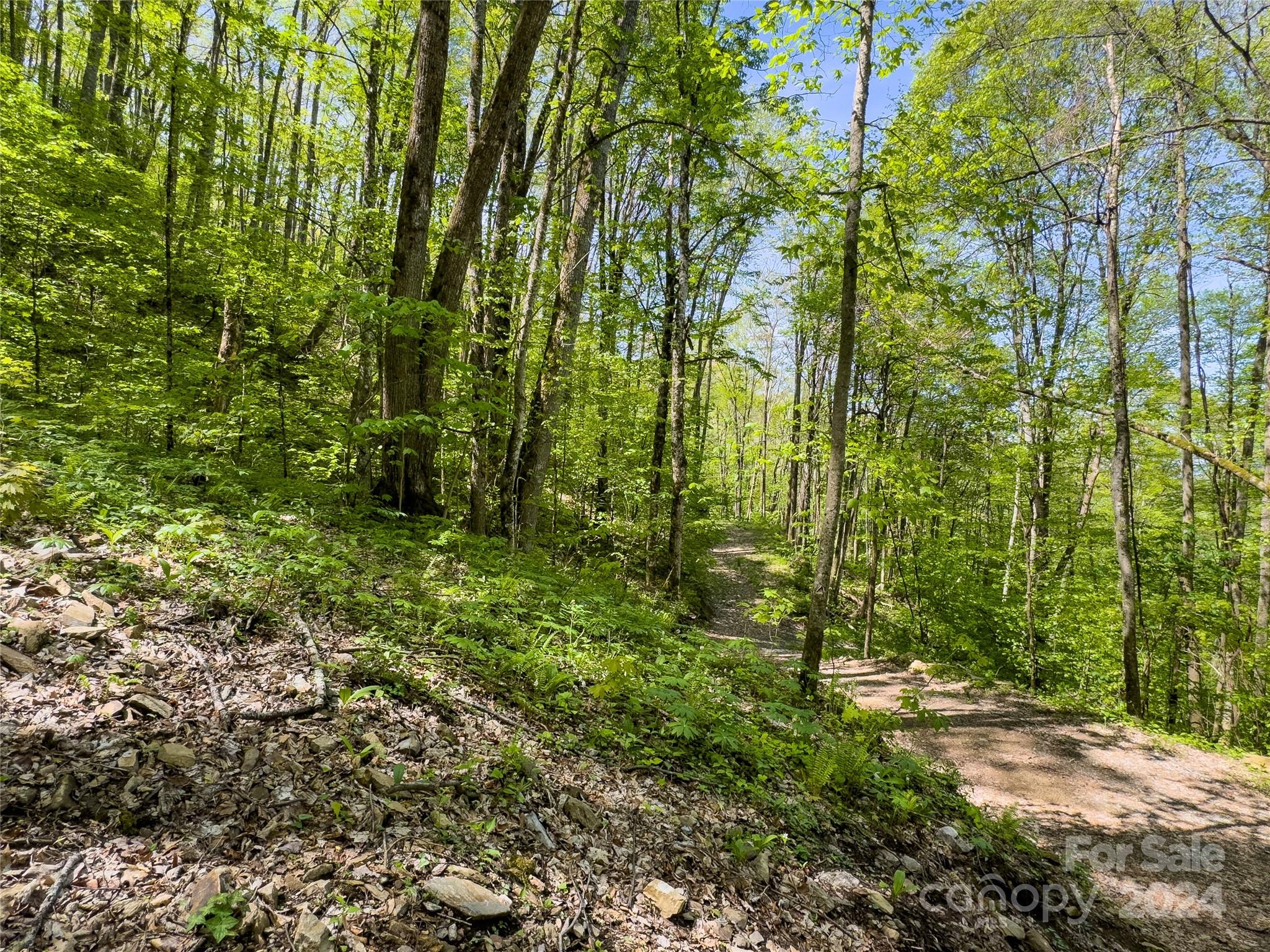 Lot 74 Black Rock Road 74