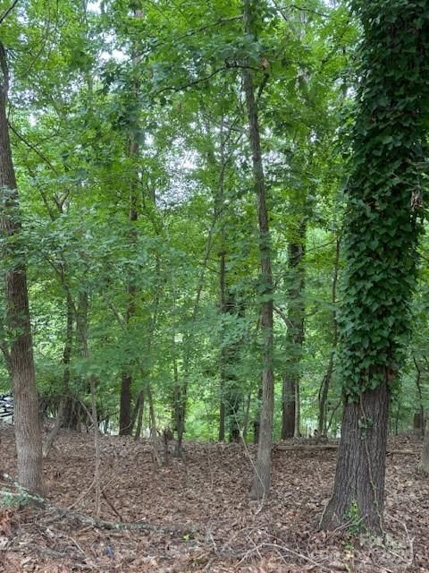 Photo of 10046 Tepa Place, Tega Cay, SC 29708 (MLS # 4295290)
