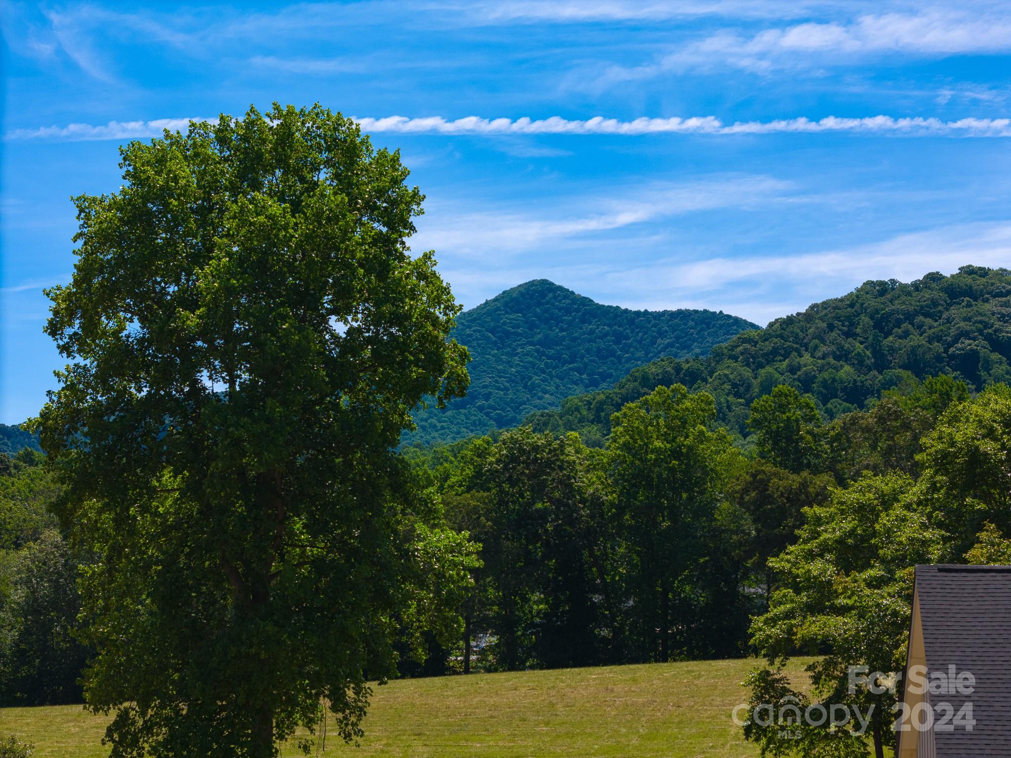 StoneRidge at Hayes Mountain - Residential