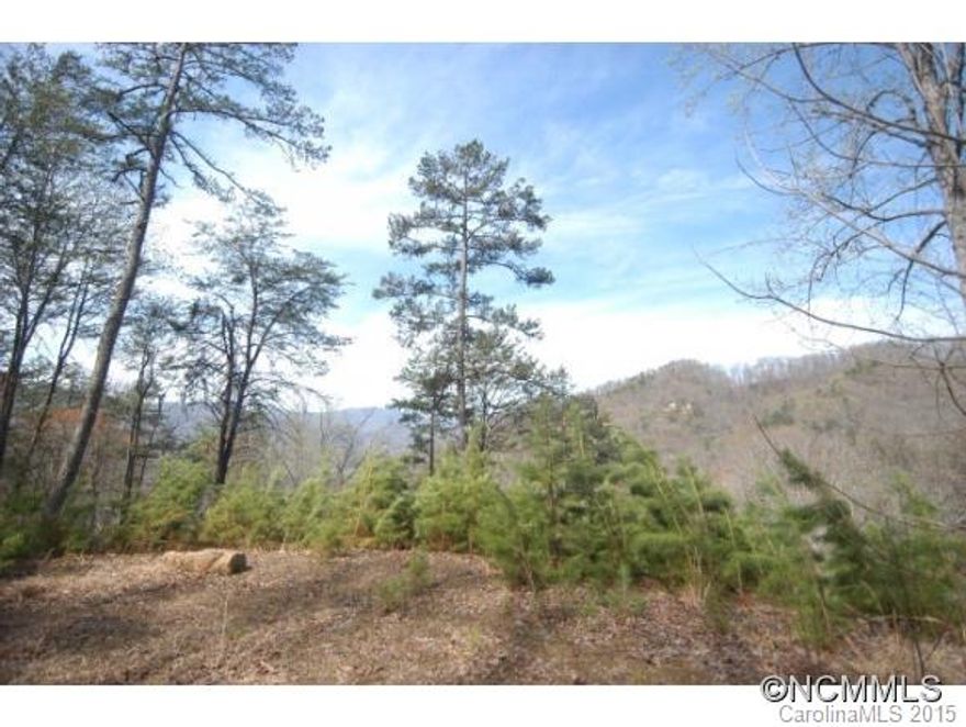 Whittier, NC 2.47 Unrestricted acres conveniently located between Sylva and Bryson City. Less than half mile from hwy 74. Minutes to Harrahs Cherokee Casino. Lot is build ready with underground power and deeded water rights. Great mountain views with owner financing!!
