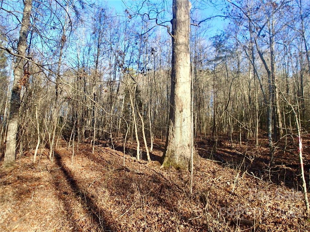 Horse Creek Farms - Land