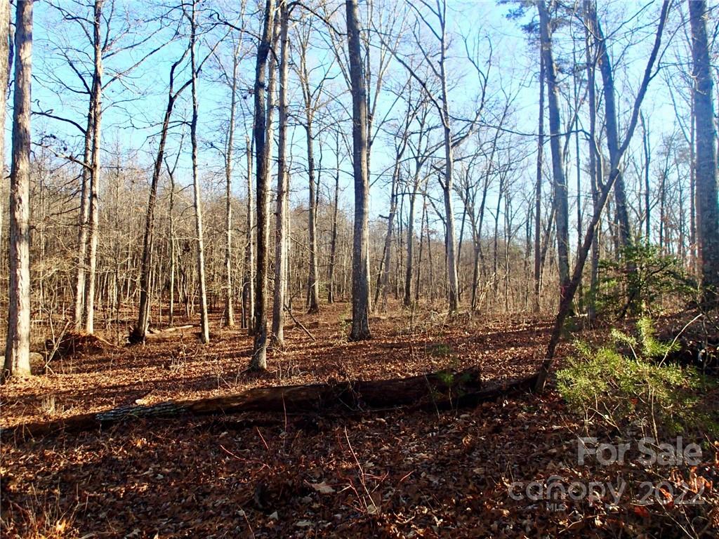 Horse Creek Farms - Land