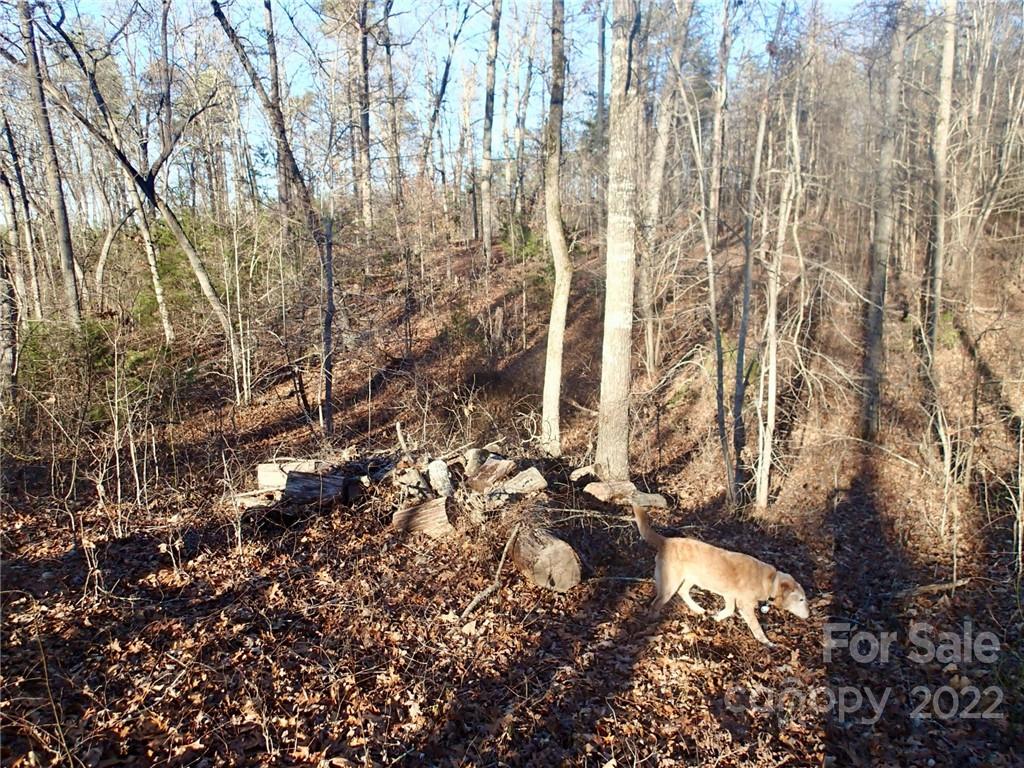 Horse Creek Farms - Land