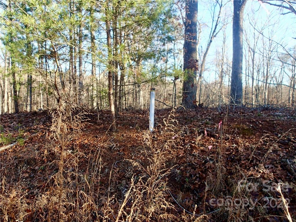 Horse Creek Farms - Land