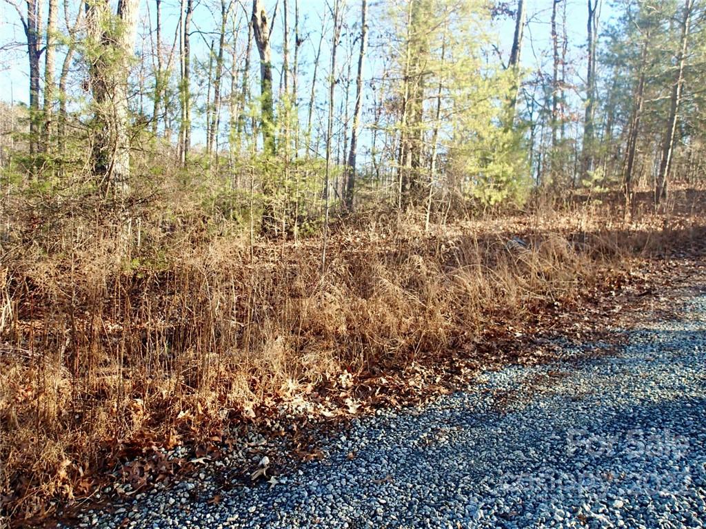 Horse Creek Farms - Land