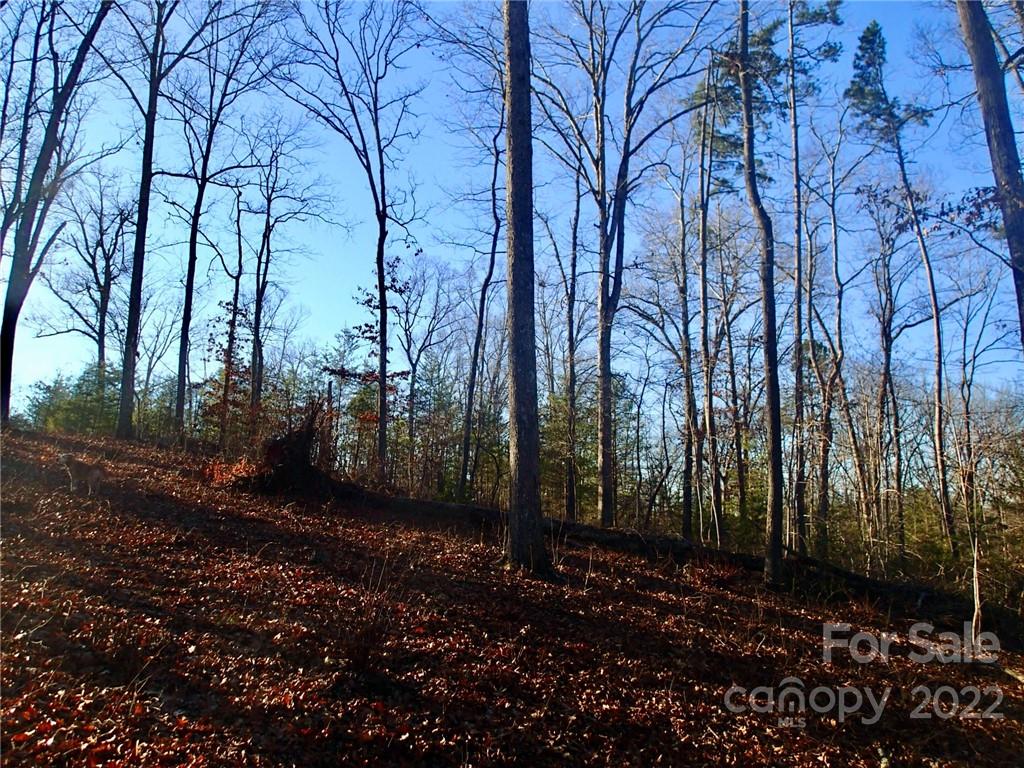 Horse Creek Farms - Land