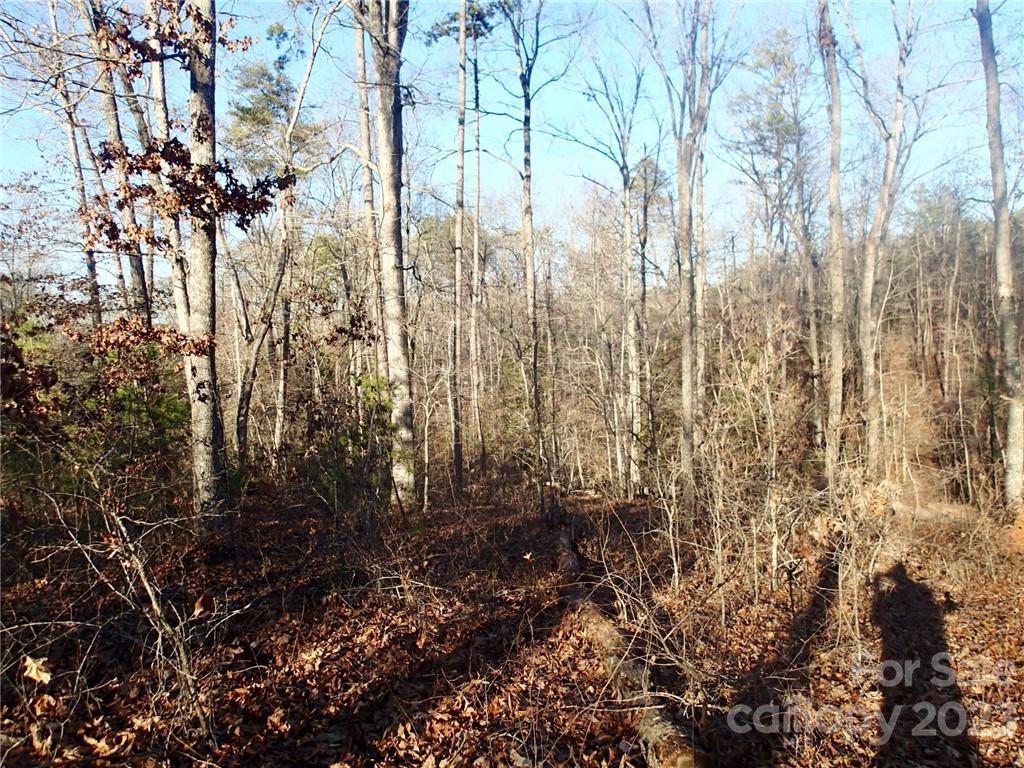 Horse Creek Farms - Land