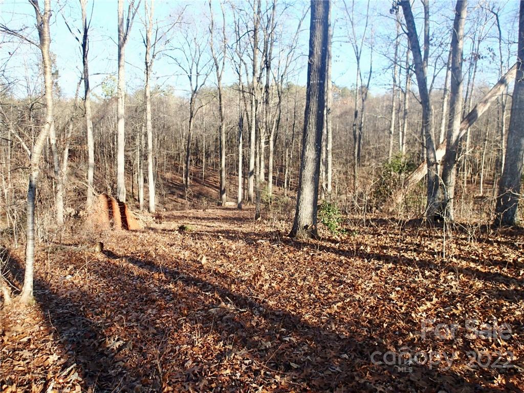 Horse Creek Farms - Land