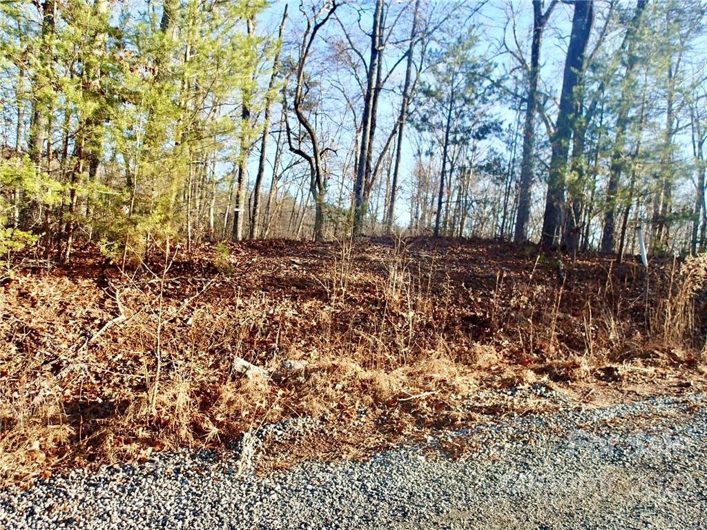 Horse Creek Farms - Land