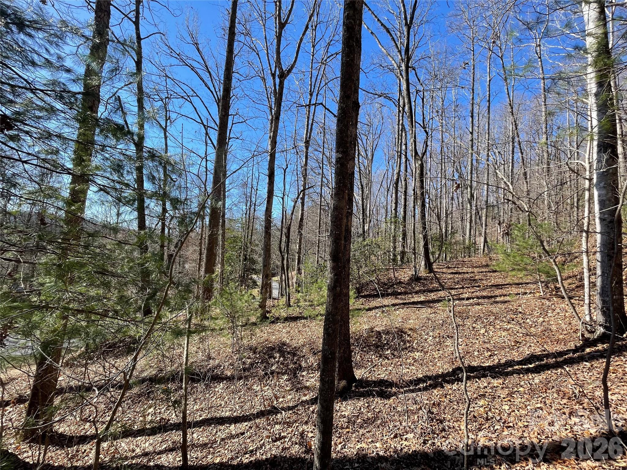 00 Chattooga Run 292R