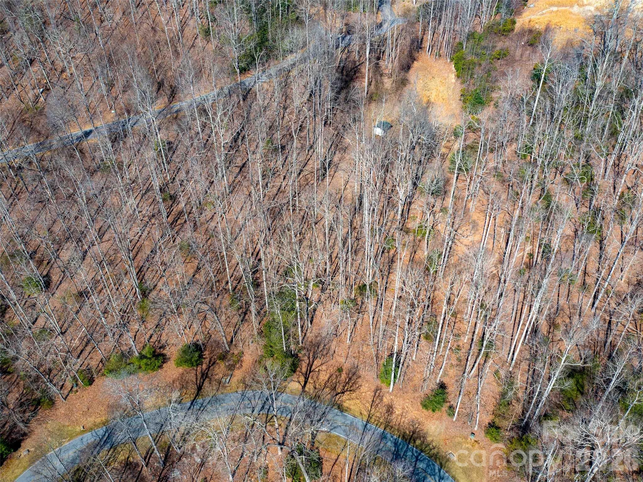 Champion Hills - Land