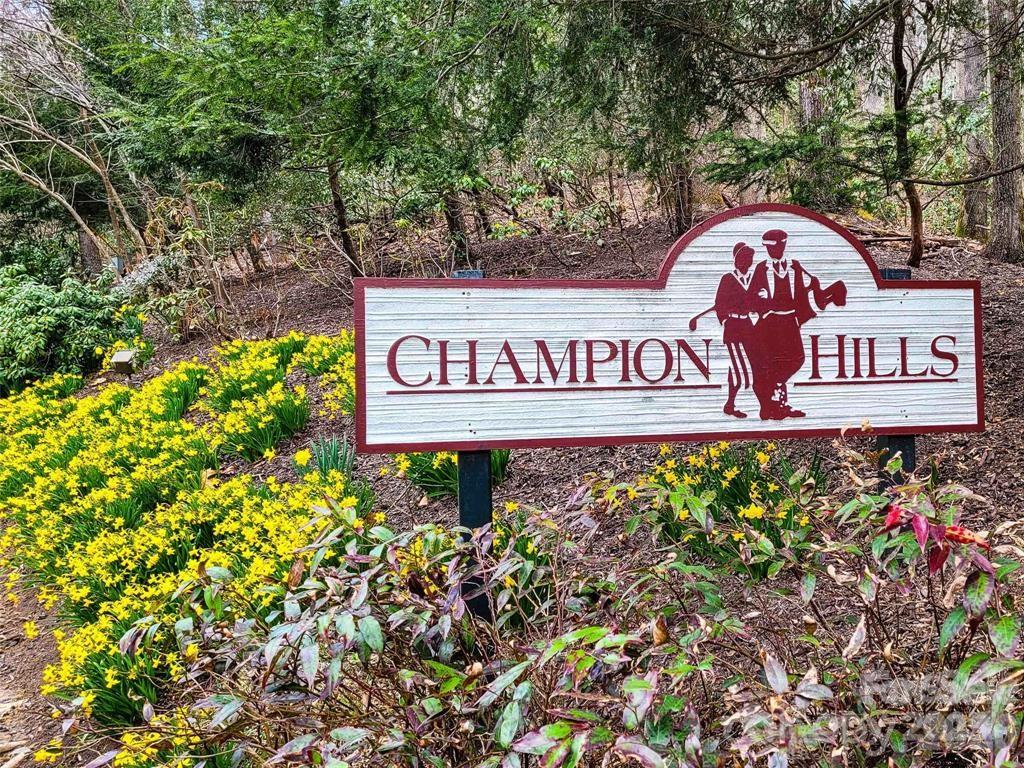 Champion Hills - Land