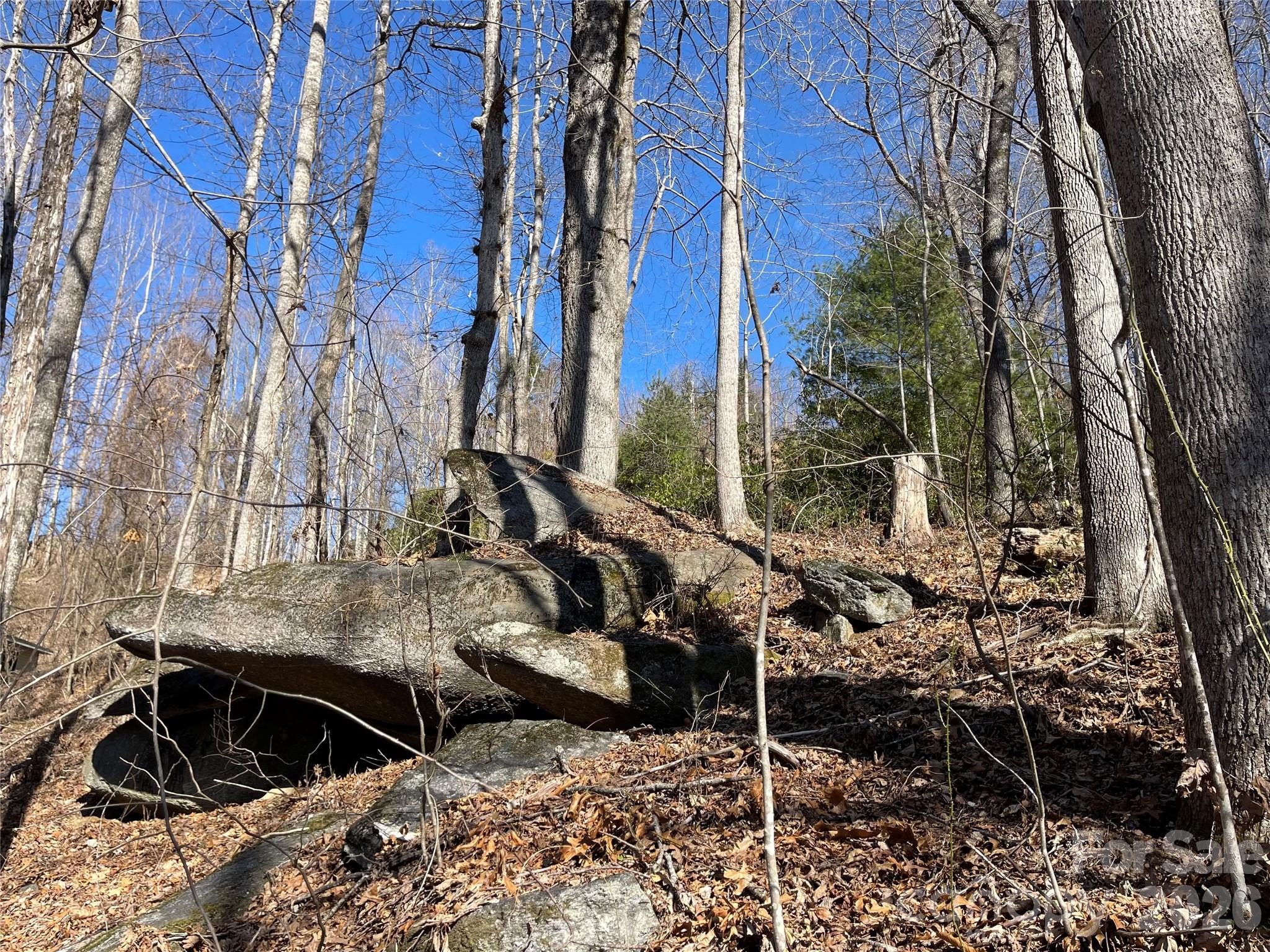 Champion Hills - Land