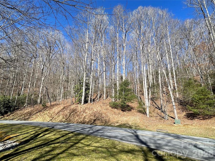 Beautiful 1.36+/-acre wooded lot in Champion Hills, Hendersonville’s premier private golf club community on Tom Fazio’s signature course. Lot 292’s building site sits on a lovely hillside, up above Chattooga Run, and offers a gentle slope, ideal for a walkout lower level. Ideal spot for creating your dream home and private mountain getaway. Among mature hardwoods, mountain laurel and beautiful rocky outcroppings, this lot delivers privacy and convenience to the clubhouse and local attractions. With its miles of hiking trails, and exclusive amenities including a private golf course, clubhouse, pool, tennis, wellness center and upscale or casual dining, you’re going to love Champion Hills!