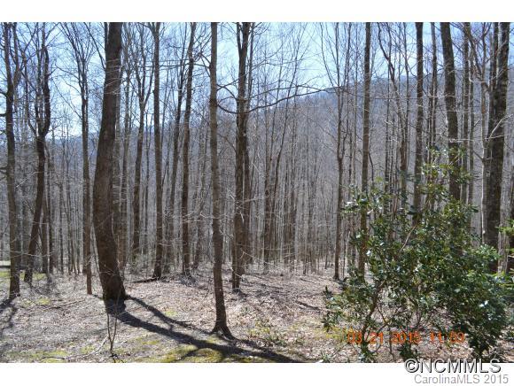 Villages Of Plott Creek - Residential