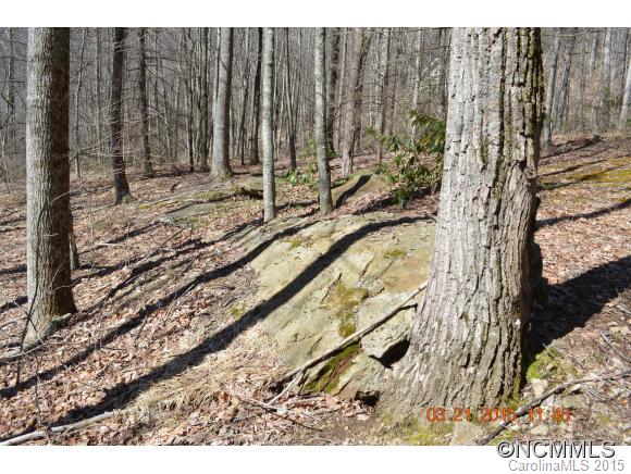 Villages Of Plott Creek - Residential