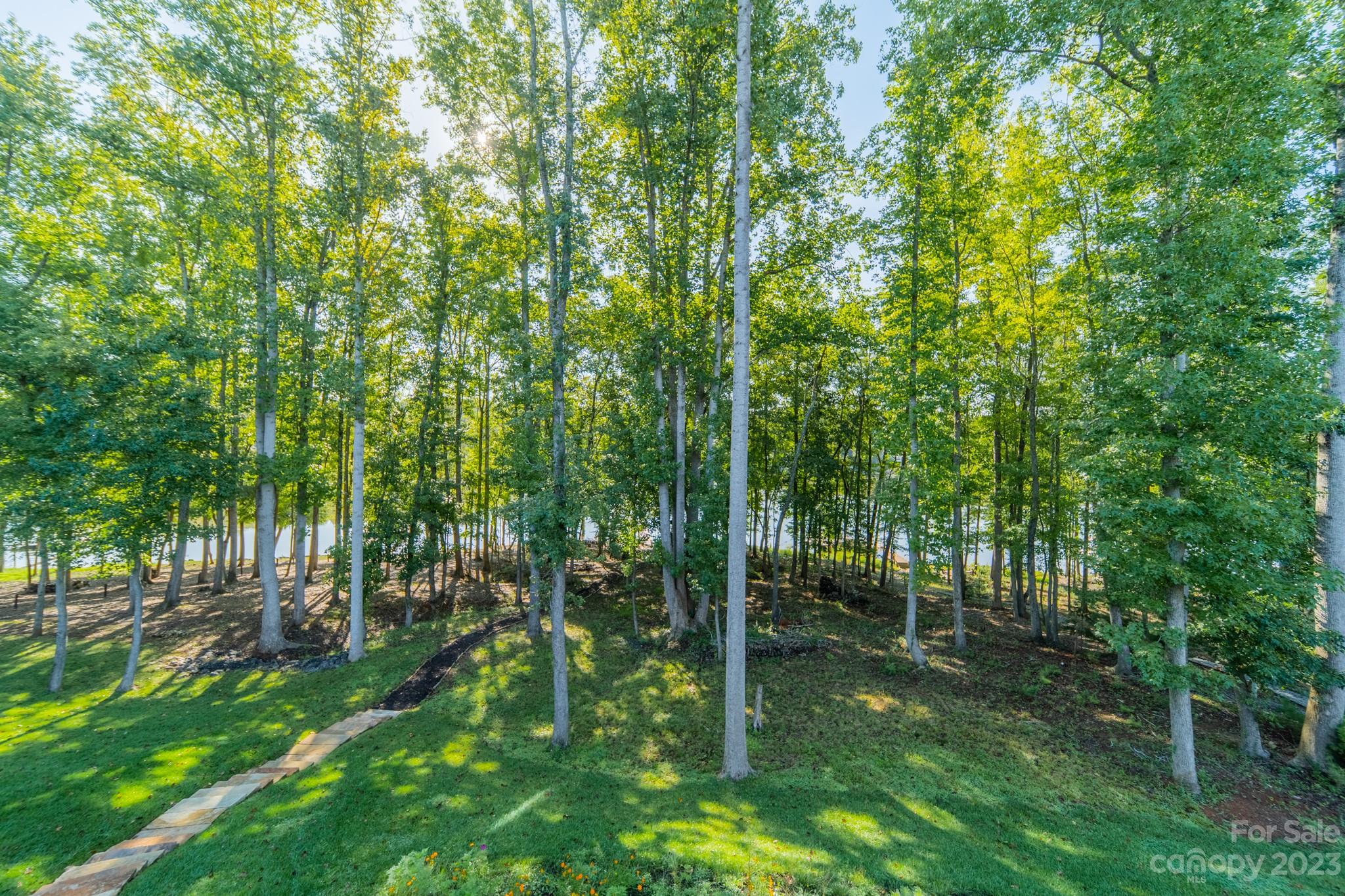 The Vineyards on Lake Wylie - Residential