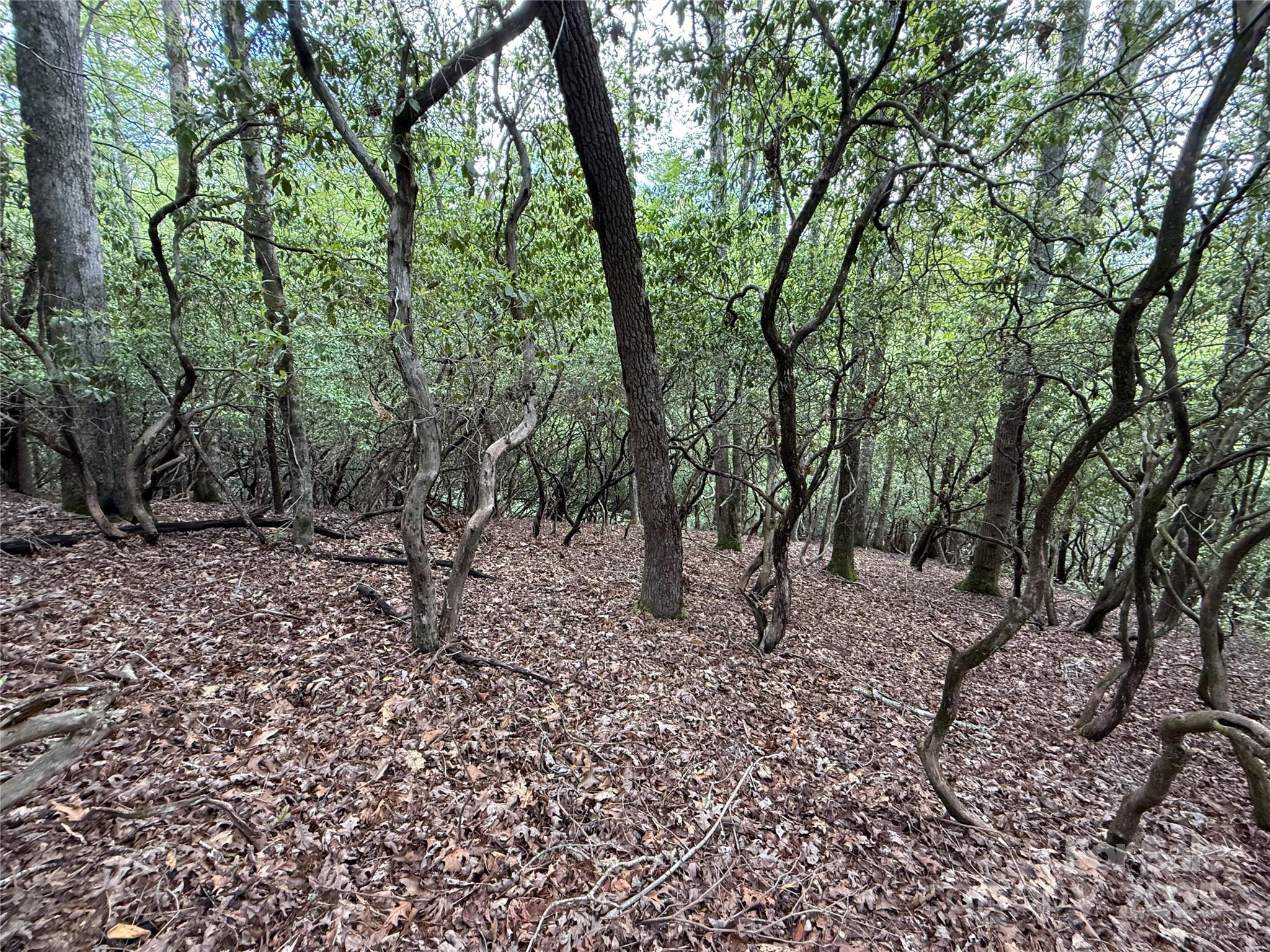 Connestee Falls - Land