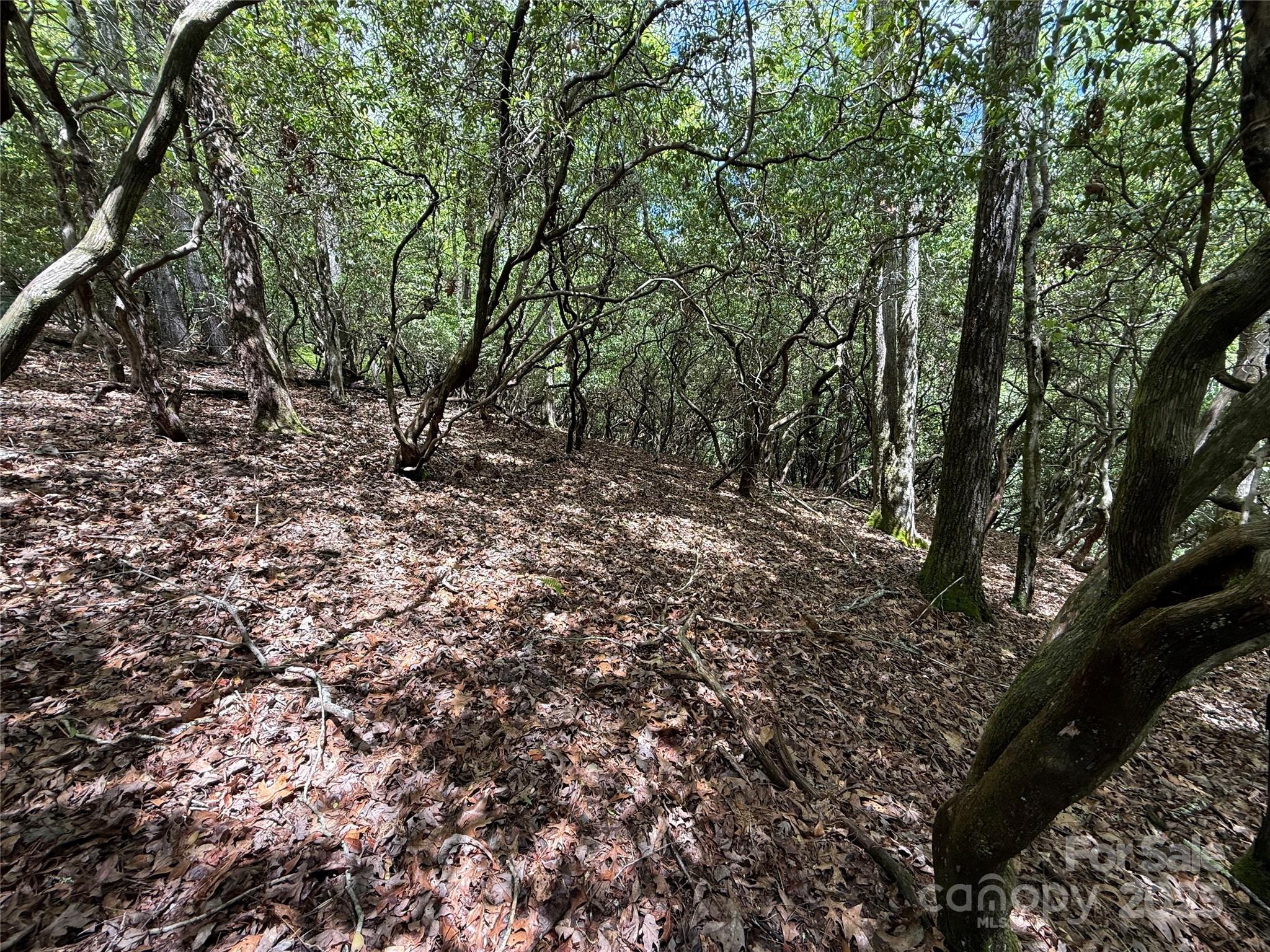 TBD Tellico Trail 42/22