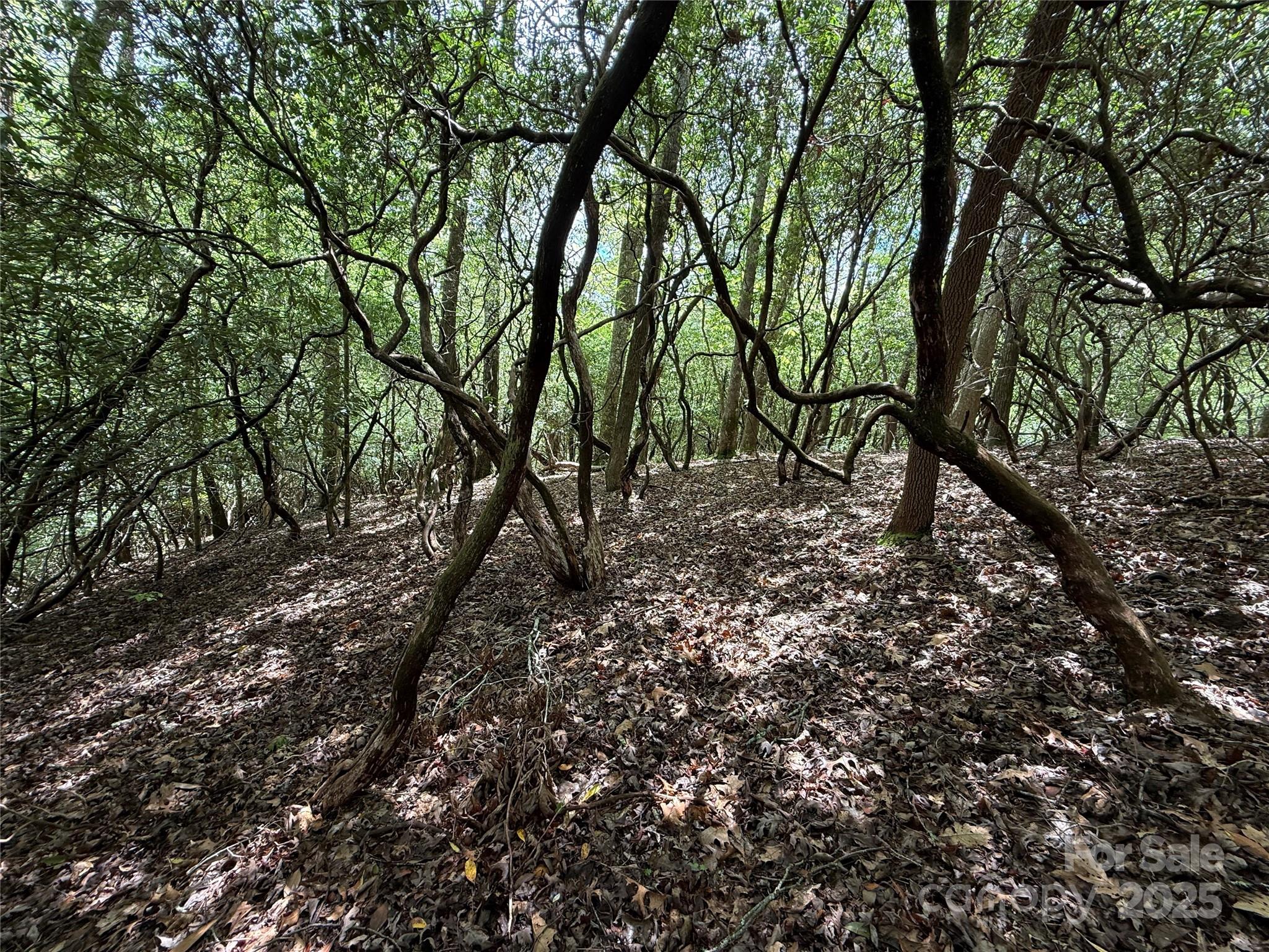 Connestee Falls - Land