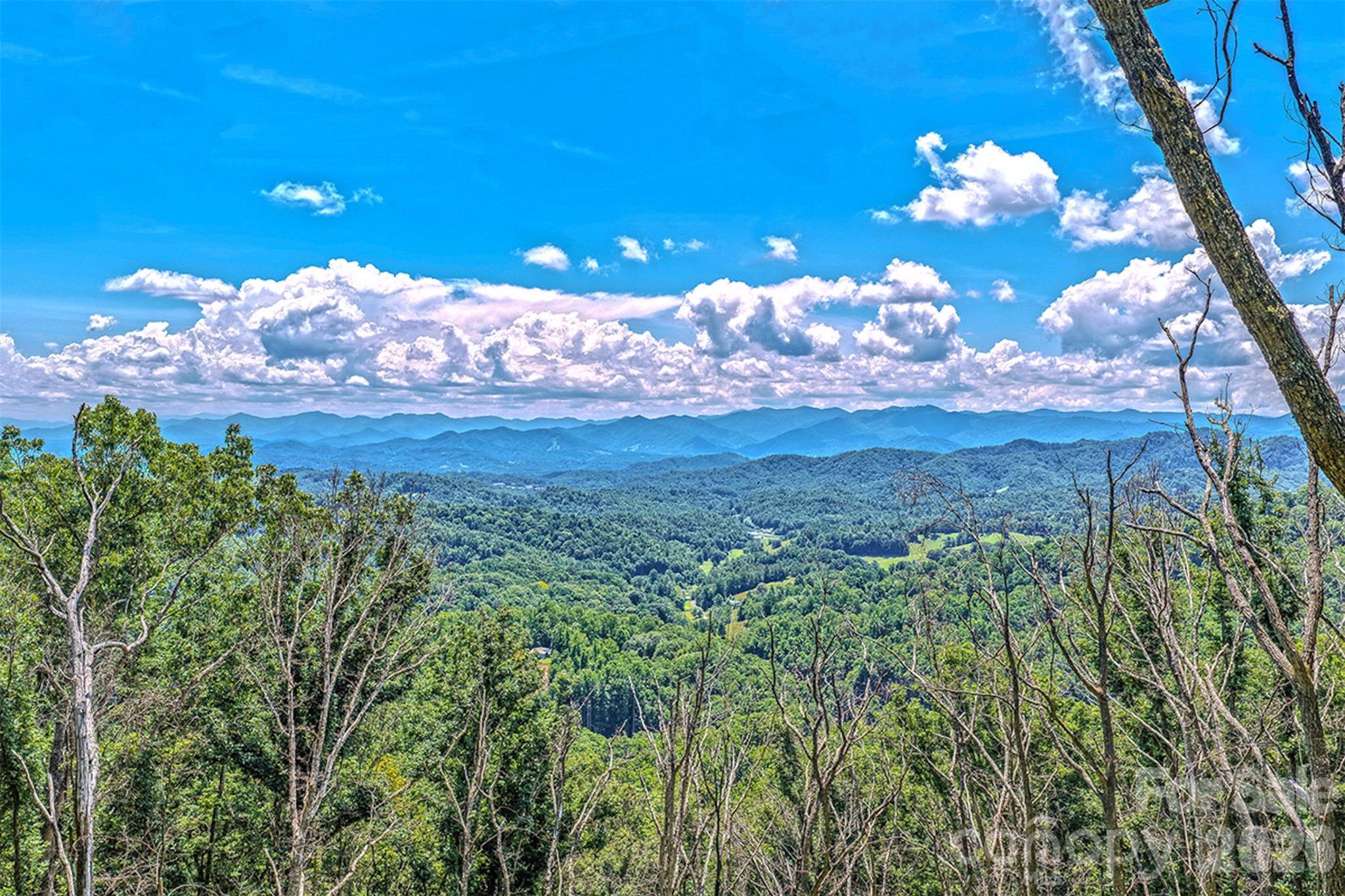 294 Red Knob Lane, Marshall, NC, 28753