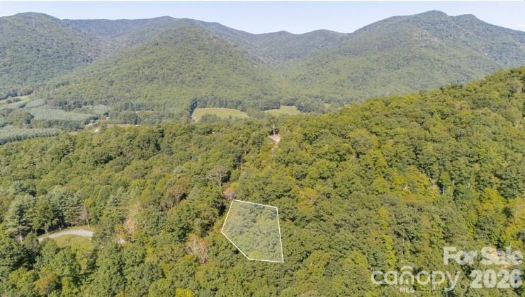 TBD Clear Creek Drive 17