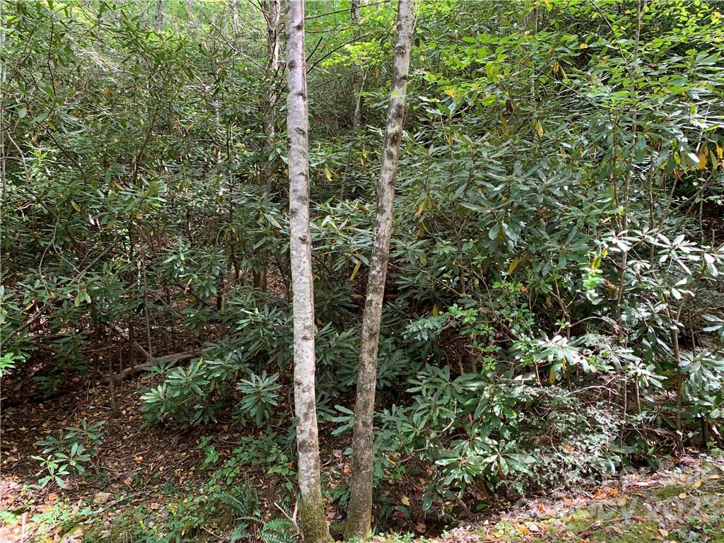 000 Big Ridge Road 114