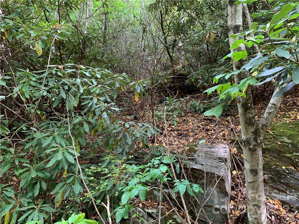 000 Big Ridge Road 114
