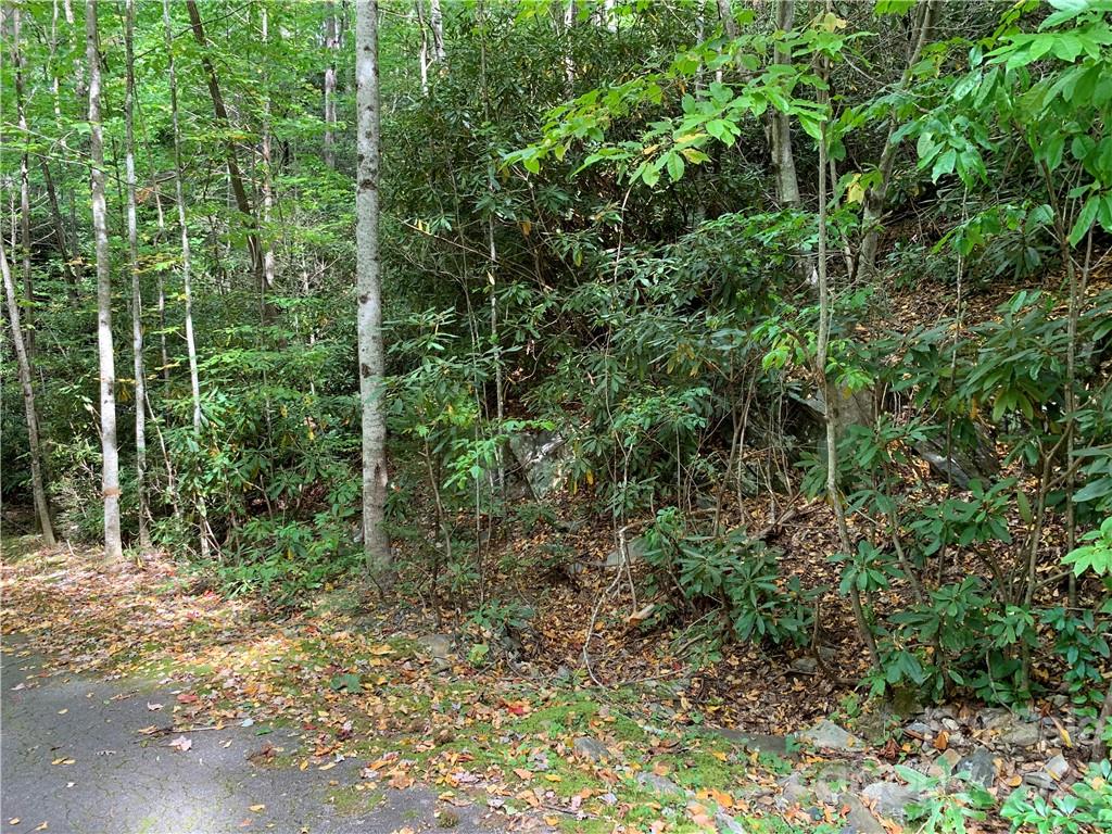000 Big Ridge Road 114