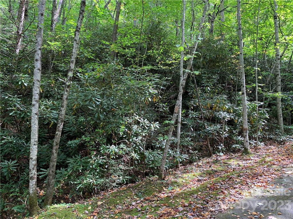 000 Big Ridge Road 114