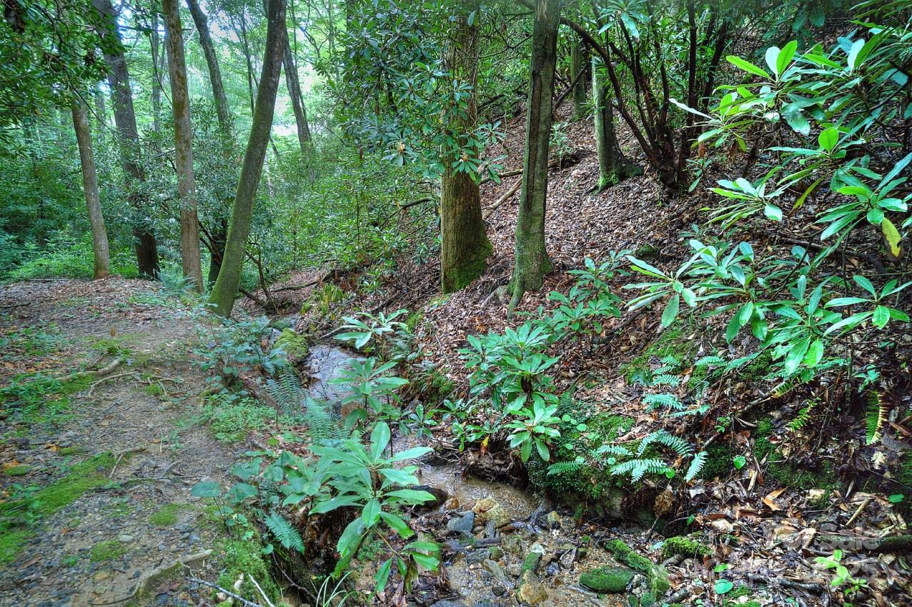 Pisgah Forest Farms - Residential