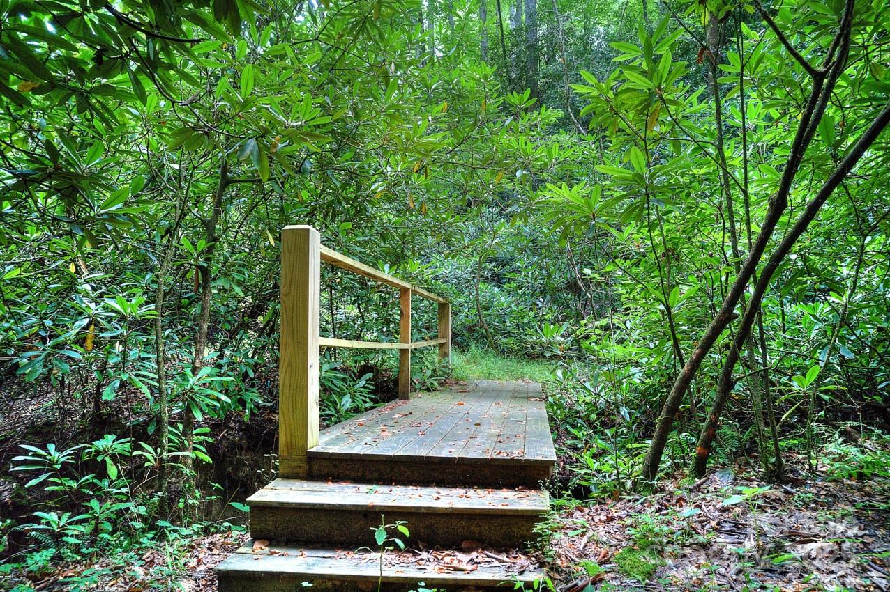 Pisgah Forest Farms - Residential