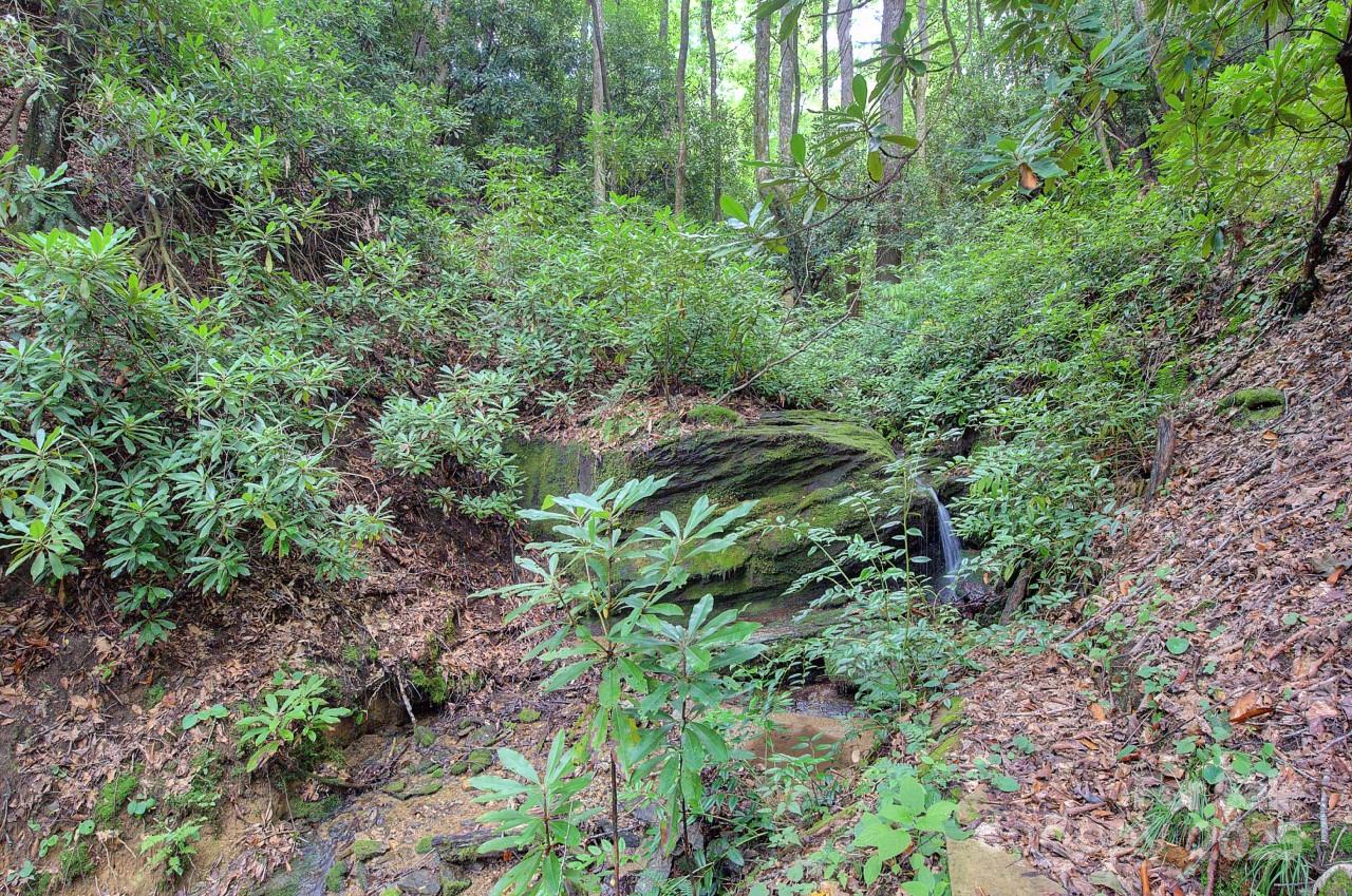 Pisgah Forest Farms - Residential