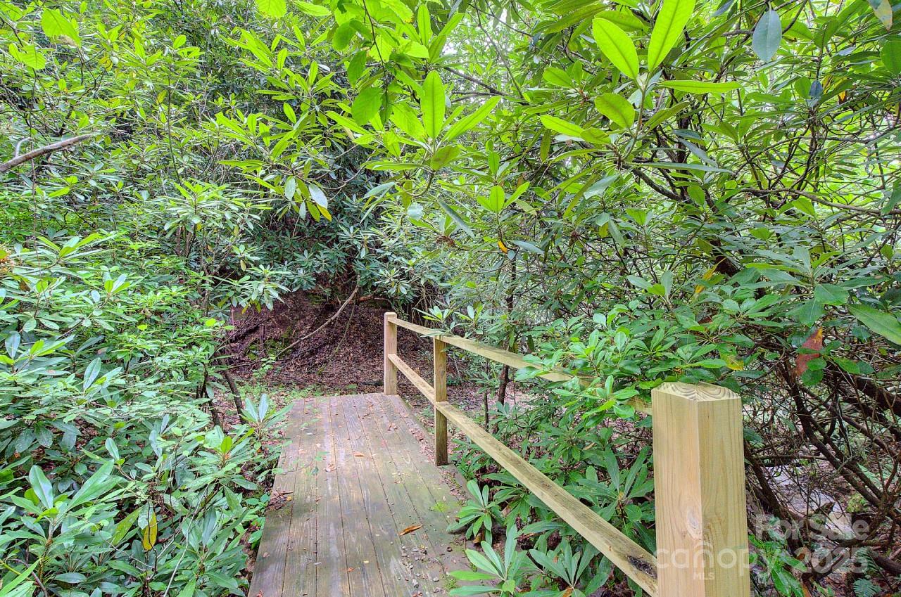 Pisgah Forest Farms - Residential