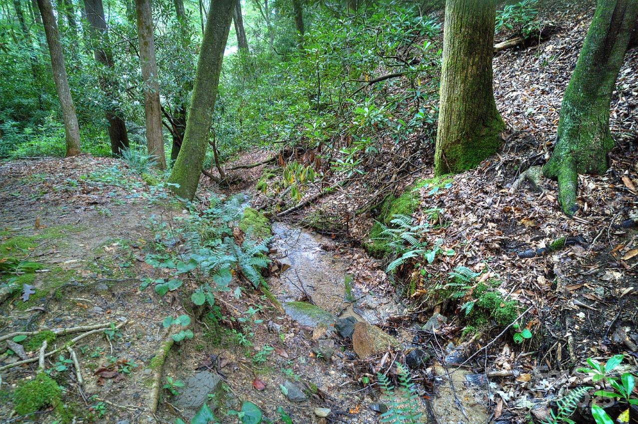 Pisgah Forest Farms - Residential