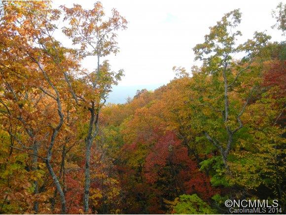 The Ridge at Black Mtn Estates - Residential